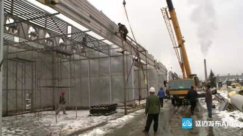 琿春互市貿易進口商品落地加工基地開工建設