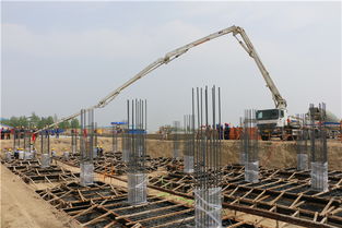 大唐長山廠燃煤耦合生物質氣化發電技術改造示范項目工程正式開工