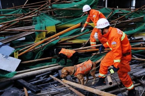 注意 昆明一工地腳手架坍塌造成嚴重后果