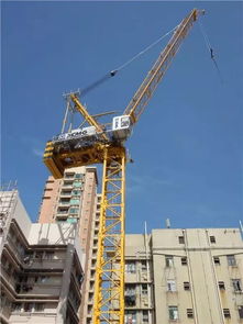 徐工 2017年最火爆的一款起重機,如今在香港大放異彩